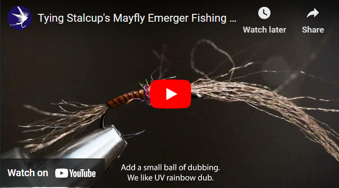 Tying Stalcup's Mayfly Emerger Fishing Fly